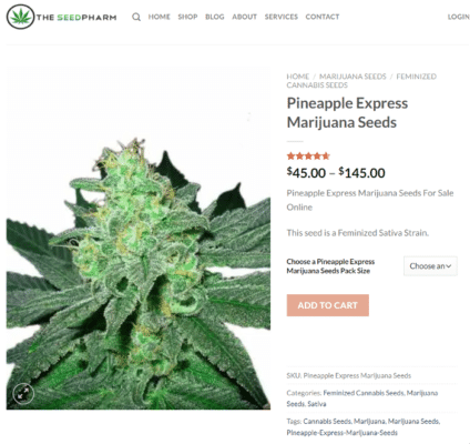 Where To Buy Marijuana Seeds Where To Buy Marijuana Seeds
