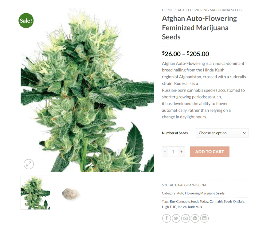 What Are Autoflowering Marijuana Seeds? Afghan Autoflowering Marijuana Seeds