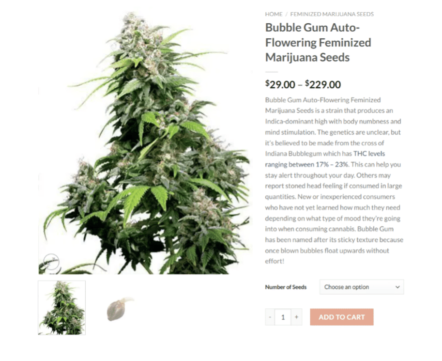 What Are Autoflowering Marijuana Seeds? Bubble Gum Autoflowering Marijuana Seeds
