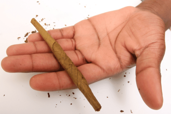 Blunt Vs Joint Vs Spliff – Key Differences Holding Blunt In A Hand