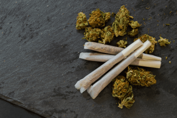 Blunt Vs Joint Vs Spliff – Key Differences Rolled Joints