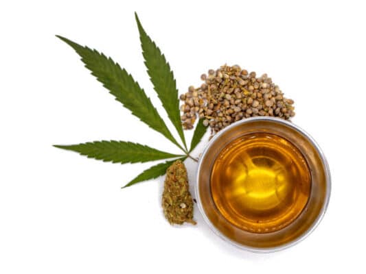 10 Best Places To Buy Marijuana Seeds In Bulk Online