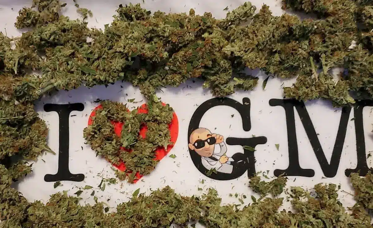 Ilgm Seeds Review Is It A Legitimate Seed Bank