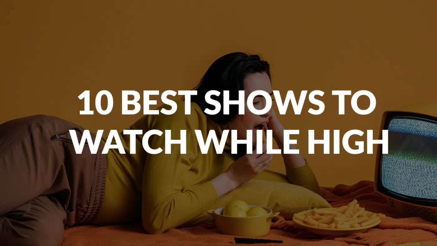 10 Best Shows To Watch While High Best Shows To Watch While High