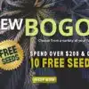 Promotional banner for 'Buy One Get One' offers. Spend $200 and receive 10 free seeds. Shop now for a variety of top-quality cannabis seeds.