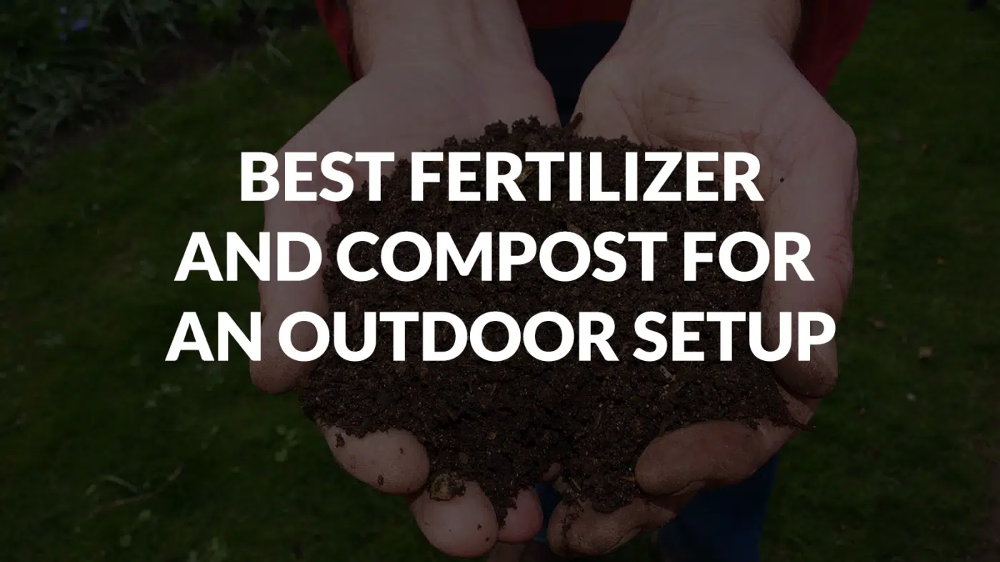 Best Fertilizer And Compost For An Outdoor Setup Best Fertilizer And Compost For An Outdoor Setup