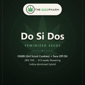Do Si Dos Strain Feminized Seeds Pack Tile From The Seed Pharm
