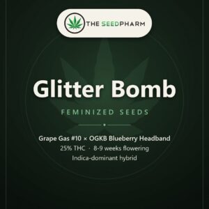 Glitter Bomb Strain Feminized Seeds