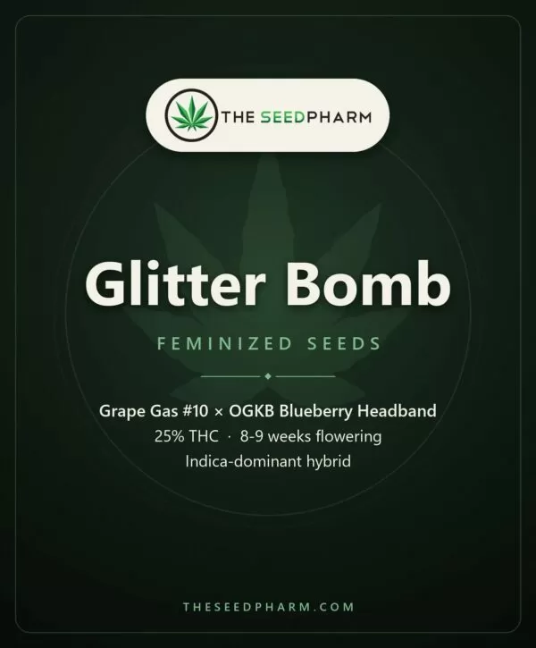 Glitter Bomb feminized seeds