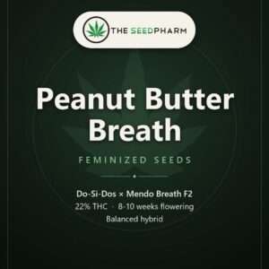 Peanut Butter Breath Strain Feminized Seeds Pack Tile From The Seed Pharm