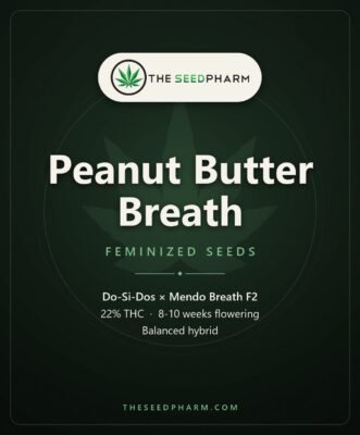 Peanut Butter Breath Strain Feminized Seeds Pack Tile From The Seed Pharm
