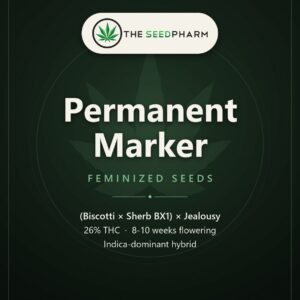 Permanent Marker Feminized Seeds