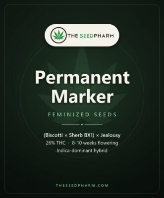 Permanent Marker Strain Feminized Seeds Pack Tile From The Seed Pharm