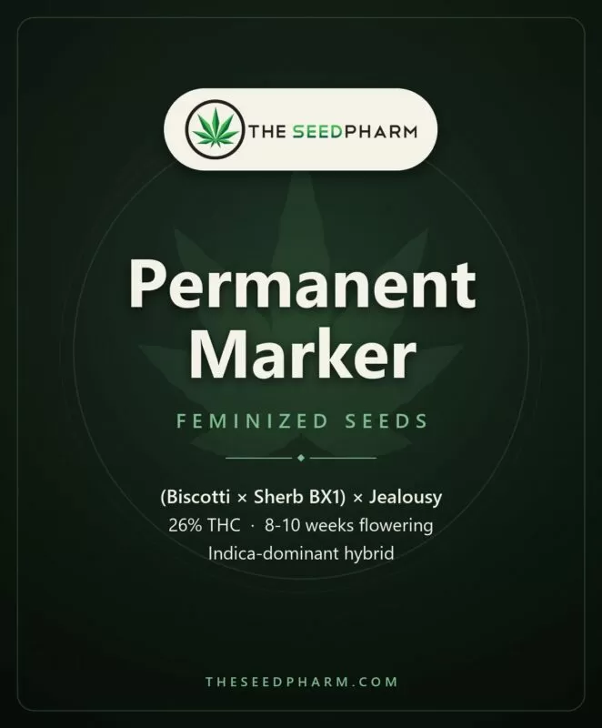Permanent Marker Strain Feminized Seeds Pack Tile From The Seed Pharm