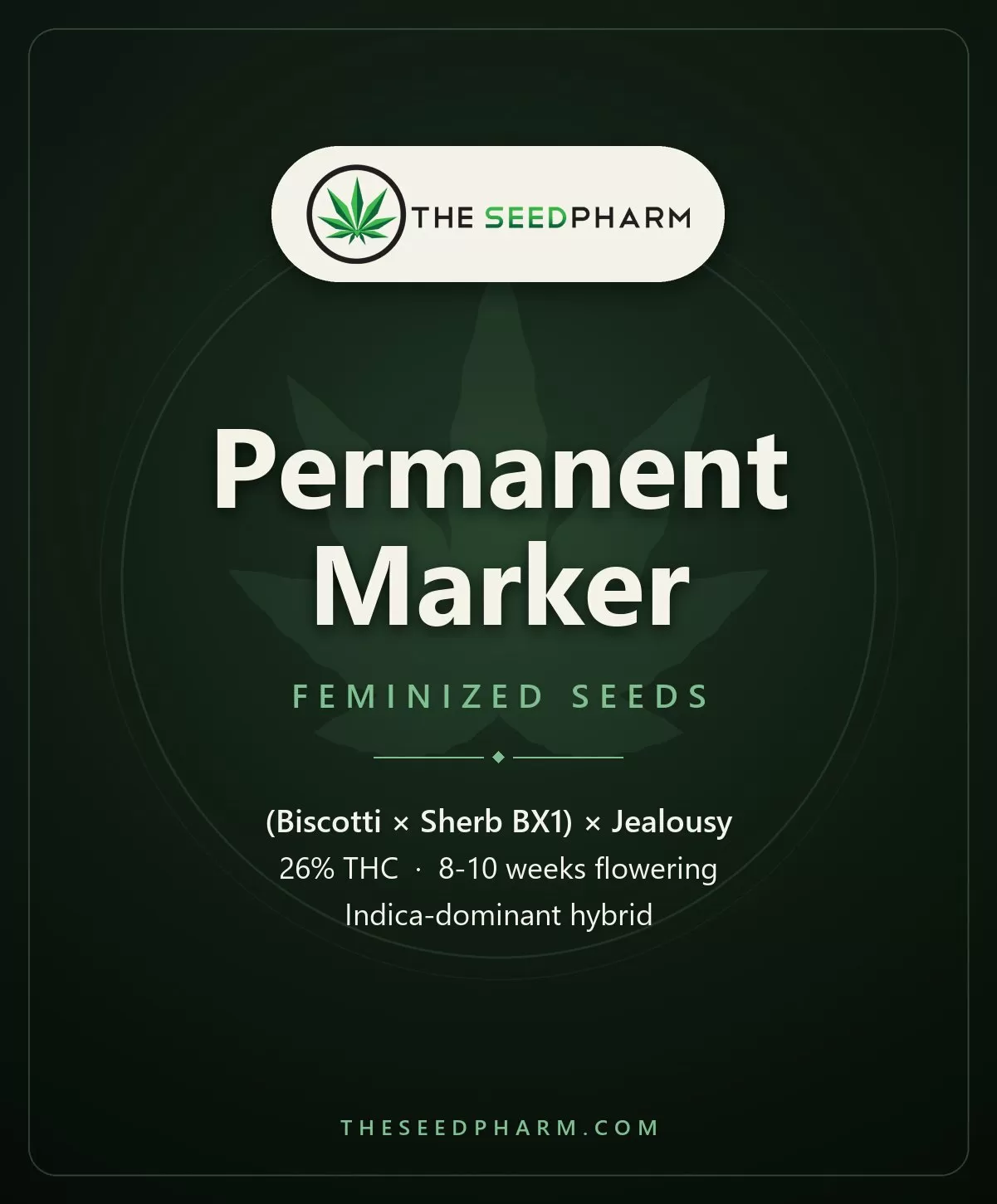 Permanent Marker Strain Feminized Seeds Permanent Marker Strain Feminized Seeds Pack Tile From The Seed Pharm